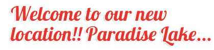 XPN Radio Welcomes Camp Jam in the Pines